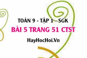 Bài 5 trang 51Toán 9 tập 1 Chân trời sáng tạo